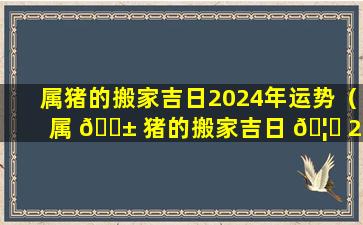 属猪的搬家吉日2024年运势（属 🐱 猪的搬家吉日 🦟 2024年运势怎么样）